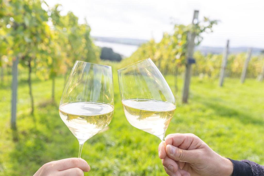 Lympstone Manor Hotel Restaurant & Vineyard - Relais & Chateaux Ексмут Екстер'єр фото