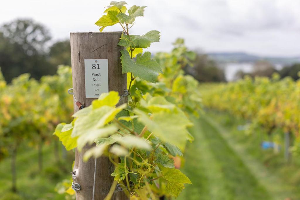 Lympstone Manor Hotel Restaurant & Vineyard - Relais & Chateaux Ексмут Екстер'єр фото