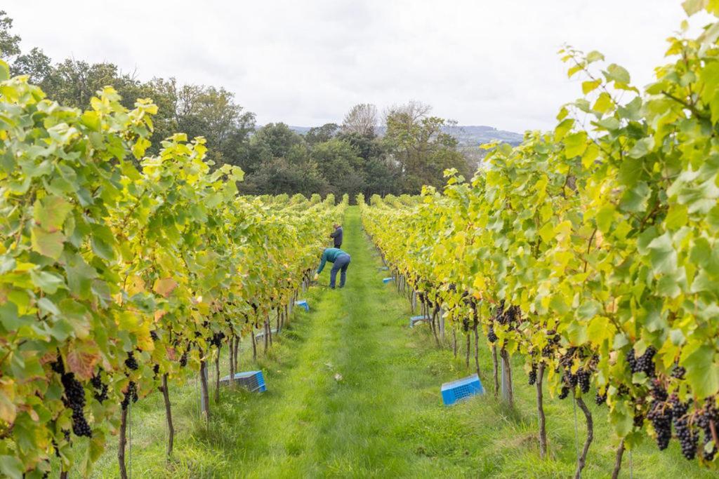 Lympstone Manor Hotel Restaurant & Vineyard - Relais & Chateaux Ексмут Екстер'єр фото