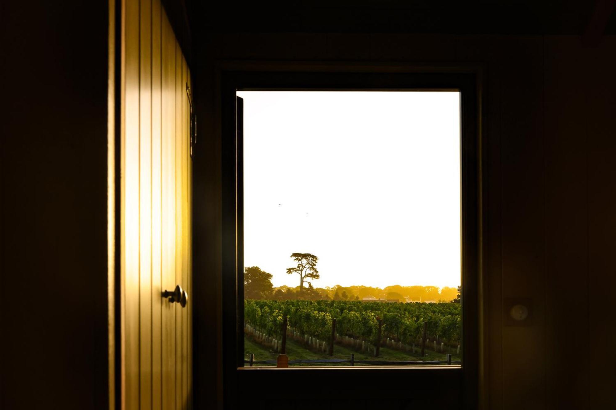 Lympstone Manor Hotel Restaurant & Vineyard - Relais & Chateaux Ексмут Екстер'єр фото