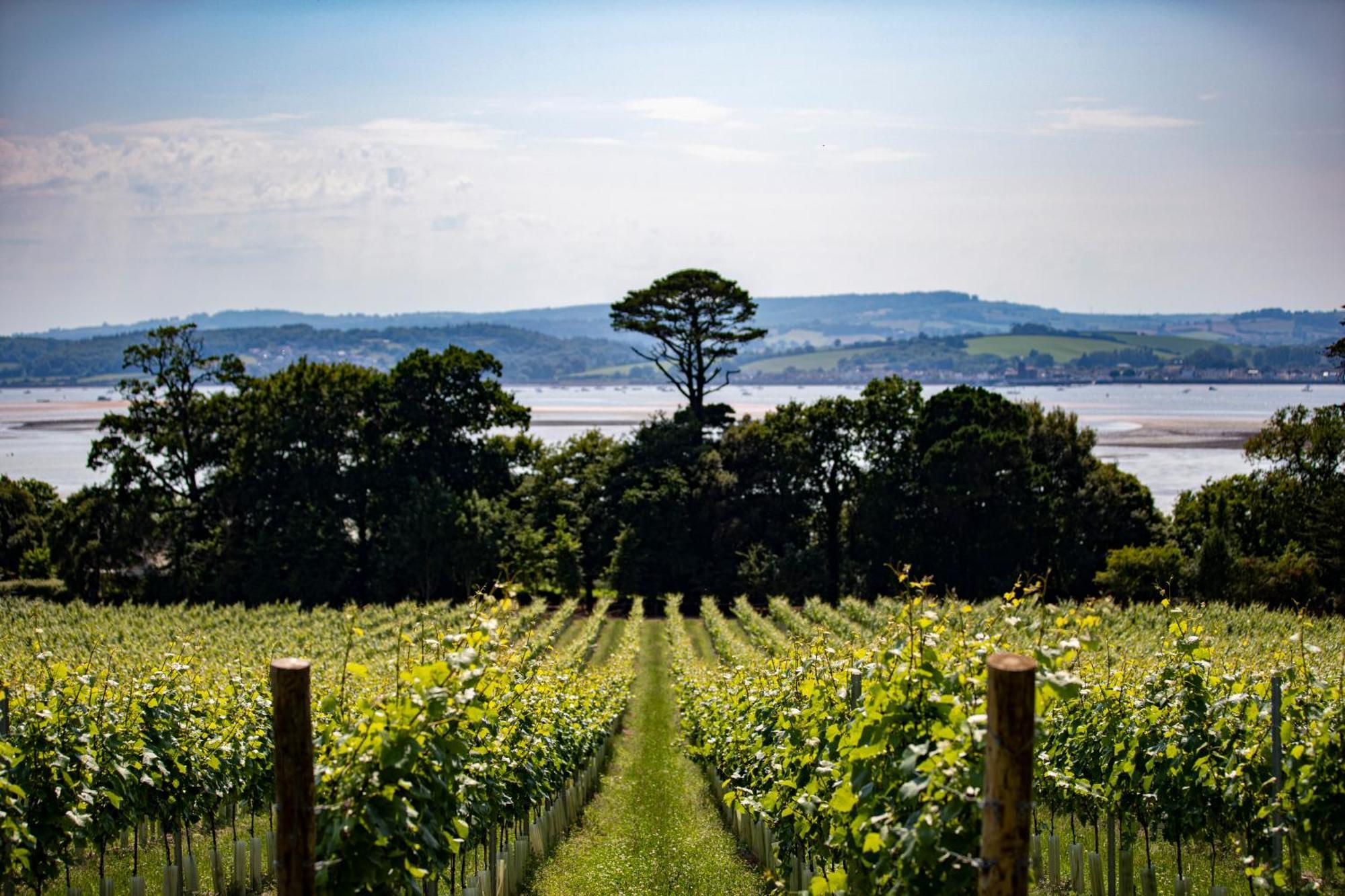 Lympstone Manor Hotel Restaurant & Vineyard - Relais & Chateaux Ексмут Екстер'єр фото